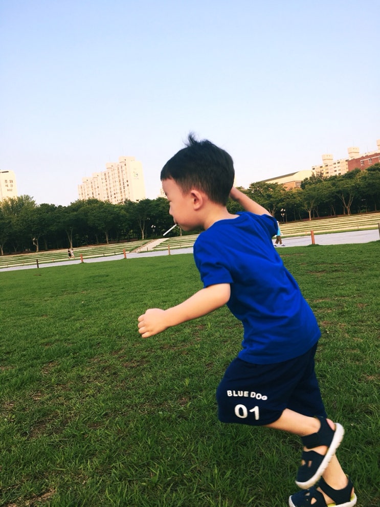  190804_sat.