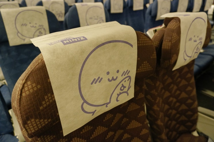  [다낭여행] 다낭 공항 정보, 진에어 탑승 후기 (+지니 스트레치석)