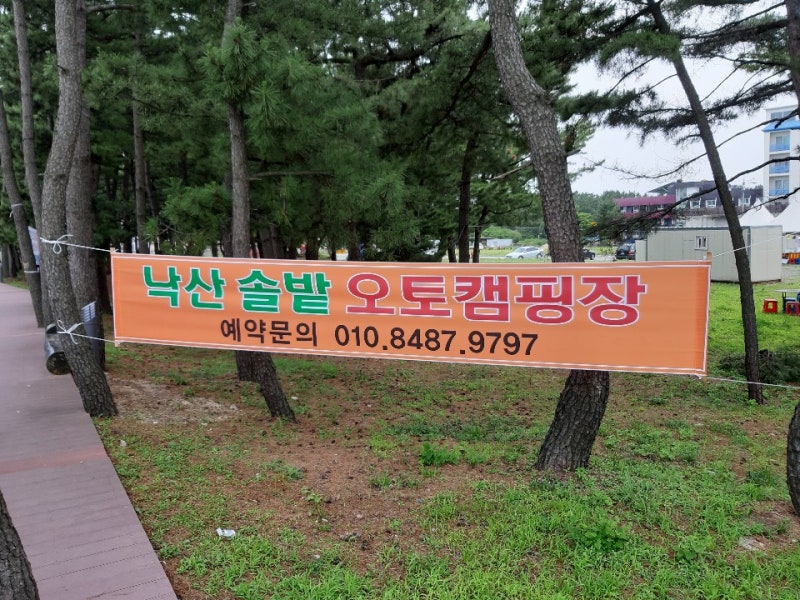 낙산해수욕장캠핑장::낙산솔밭오토캠핑장::여름휴가지 끝판왕!