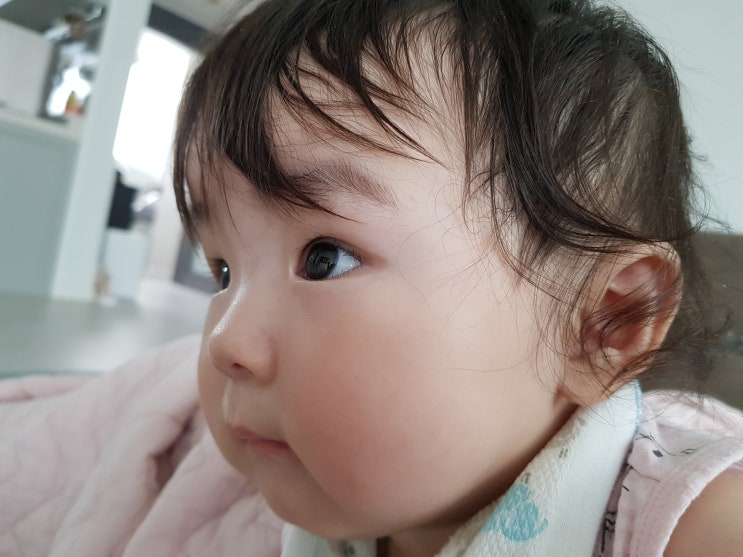 [밀려쓰는 육아일기] 6개월 아기 발달과정과 화성 동탄 이사후기
