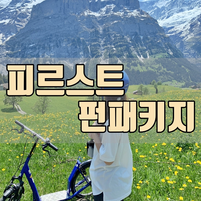  스위스 그린델발트 피르스트 펀패키지 1탄 - 곤돌라, 클리프워크