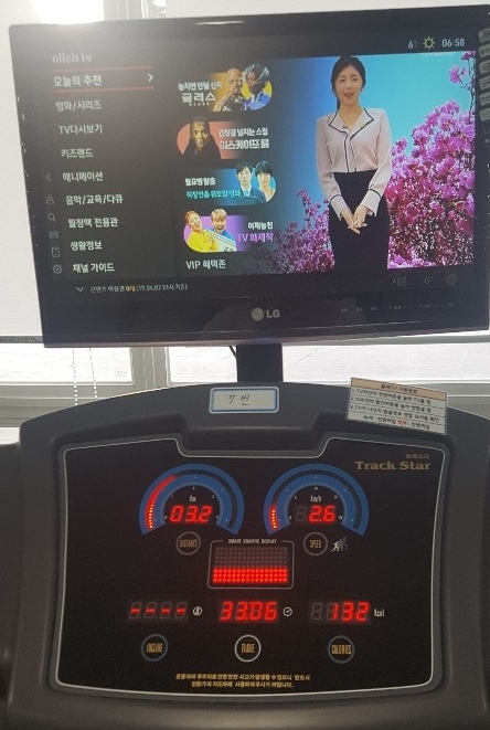  마녀체력 (이영미)