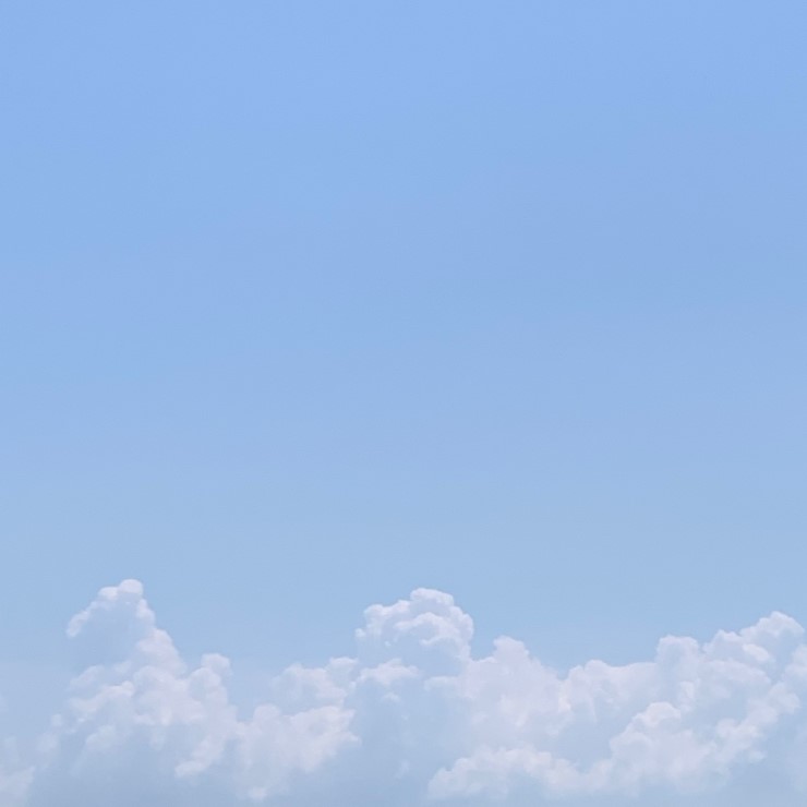 7월