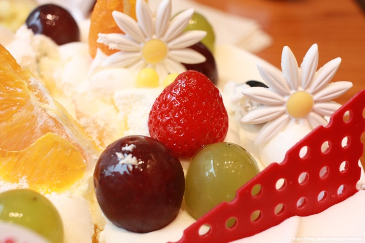  생일 축하, 더위 탈출 일상외출 ft. 파리바게트 이벤트  소식은 덤