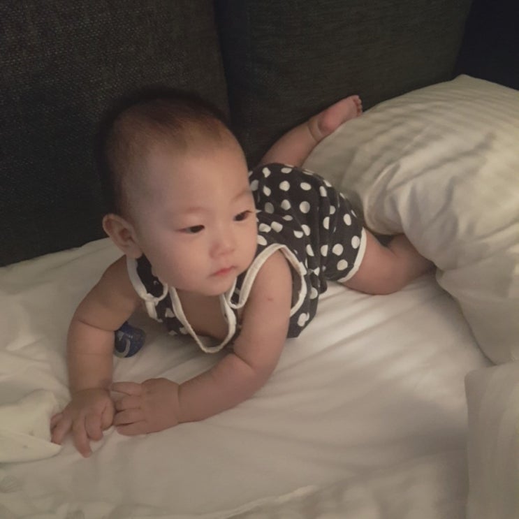  여름휴가 part.2 ( #대구퀸벨호텔 #대구막창 #땅땅치킨 )