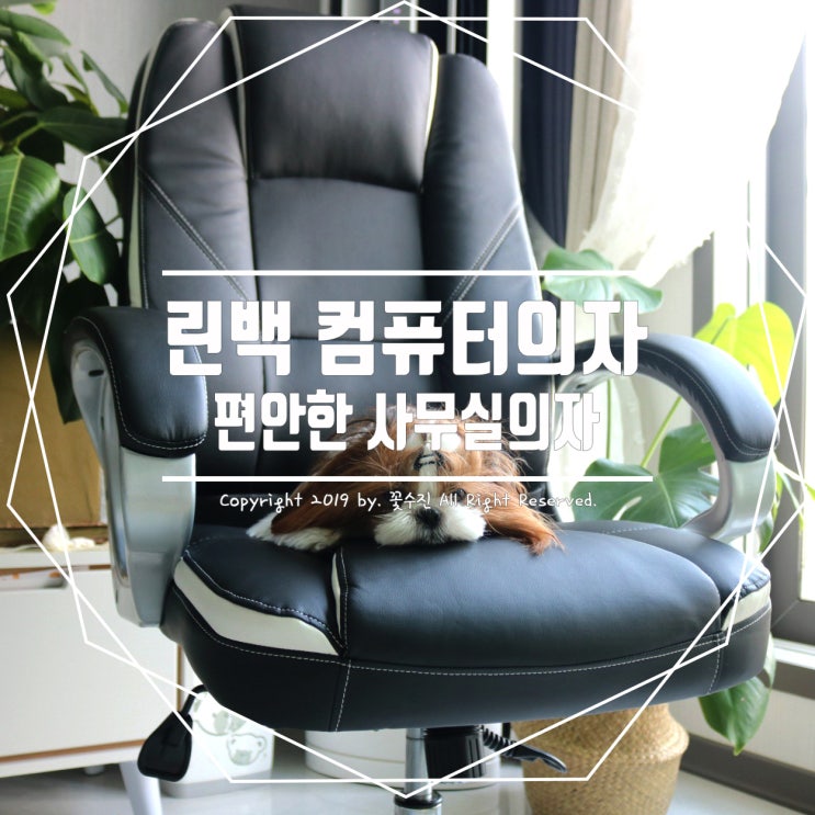  편안한 컴퓨터의자 , 린백 LB33L 사무용 책상의자