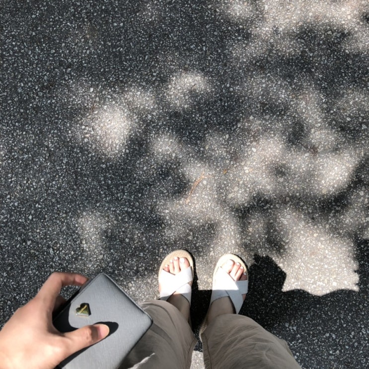  2019, Aug (1)