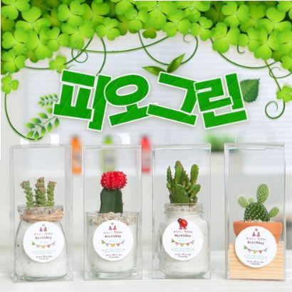  (16% 할인)피오그린 돌잔치 답례품 [배송 스티커 초대장 감사장 무료배송] 기타답례품돌답례품
