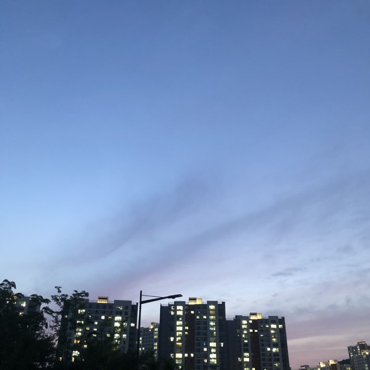  7월