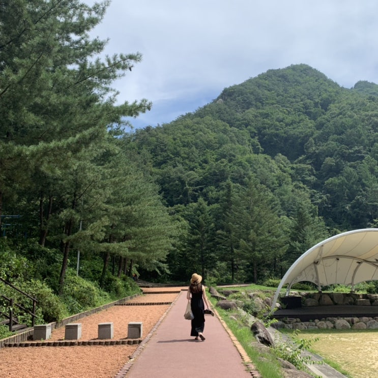  # 8월 첫쨋주 일상