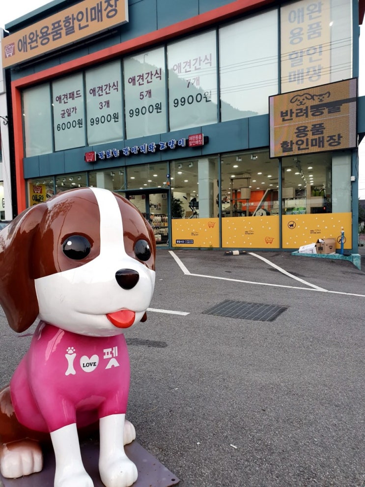  저렴한 반려동물 대형 할인매장 [장보는강아지와고양이] 부산녹산점