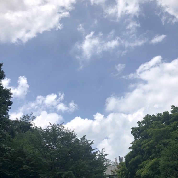  조금은 특별할수도 있는,