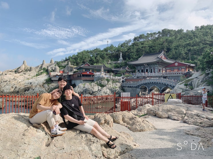  [부산, 부산여행 1日차] :: 해운대, 개미집본점, 용궁사, 기장해안로, 기장 카페824, 광안리회센터, 광안리수변공원 - 19.07.30