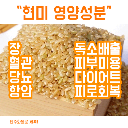  현미 영양성분 및 효능 알아보았습니다