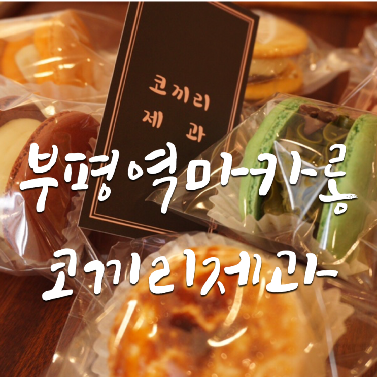  부평역마카롱 코끼리제과 맛추천 // 부평역 뚱카롱 맛집 도장깨기