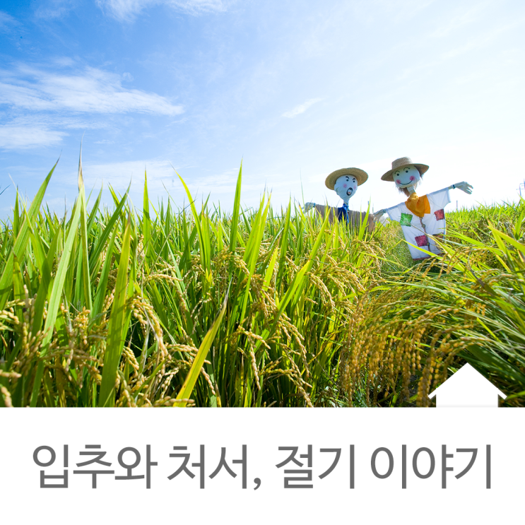  입추와 처서, 가을을 알리는 절기 이야기