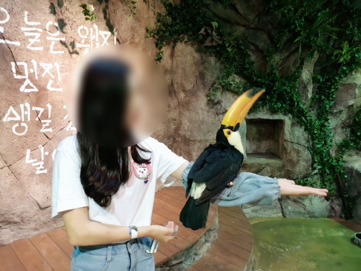  9월 서울 데이트 :: 영등포 주렁주렁!서울 실내데이트 동물원 할인 정보