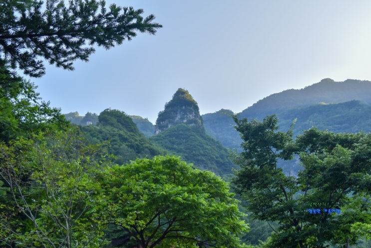  삼척 환선굴 모노레일은 꼭 타고 가셔야 합니다