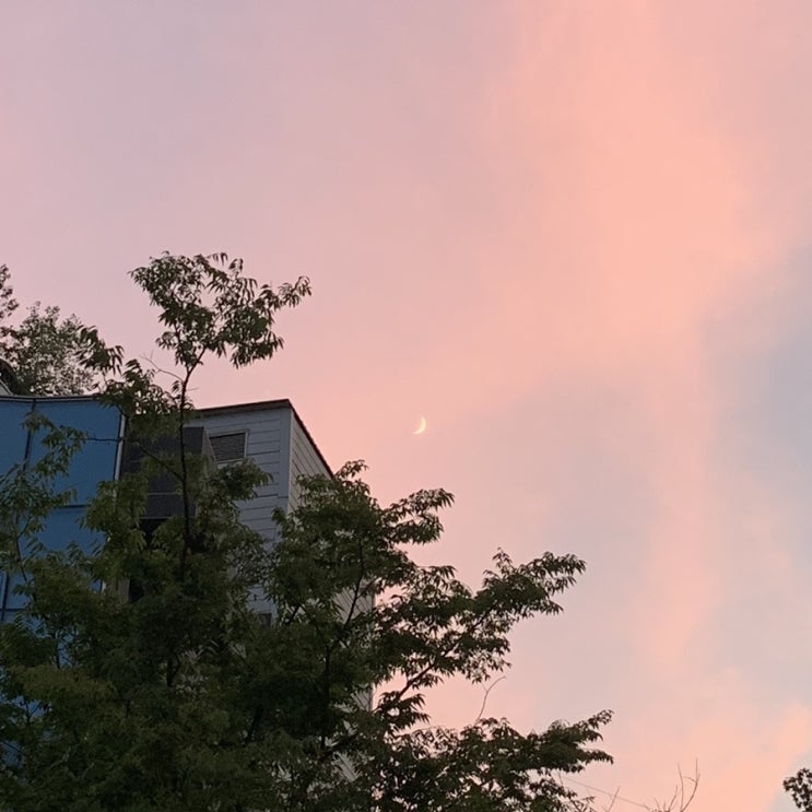  8월 둘째주
