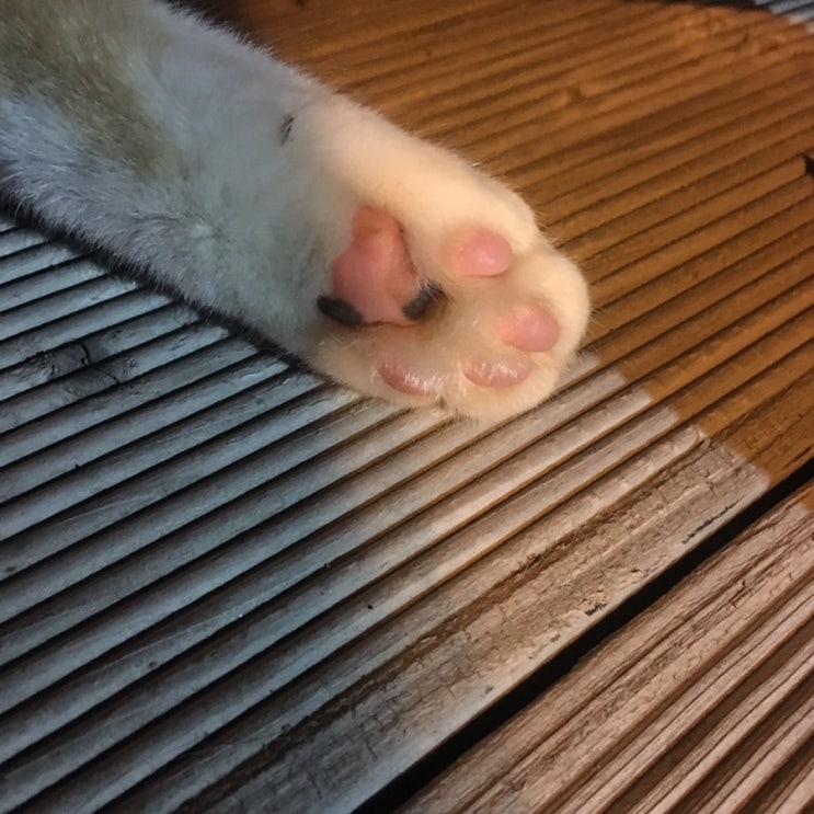  이토록 보통의