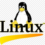 리눅스(Linux) 운영 체제 & 클라우드 오픈스택 (OpenStack) (레드햇 엔터프라이즈 리눅스 RHEL / 페도라 / CentOS / 데비안 우분투 / 클라이언트 / 서버)