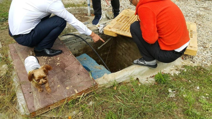 현장에서의 합리적인 선택
