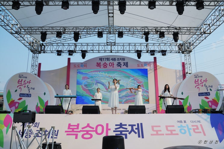 제17회 세종조치원 복숭아축제 '도도하리' 중 세종거리예술가 공연