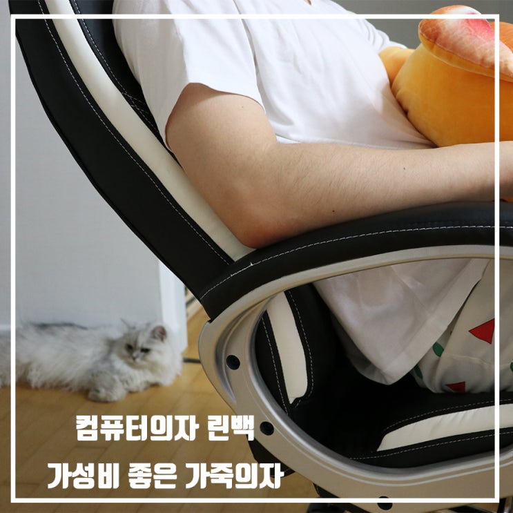  컴퓨터의자 바꿨으니 이제 나도 좀 편해볼까 feat.전우치