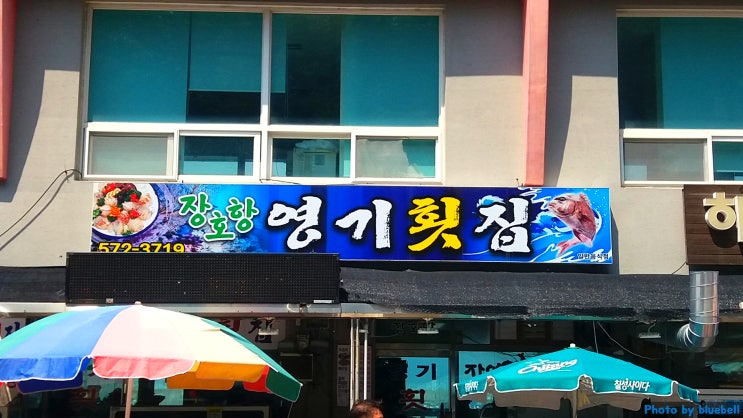  강원 삼척 장호항 영기횟집