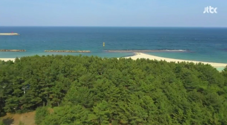  캠핑클럽 핑클이 반한 여름 피서지 울진 구산해수욕장