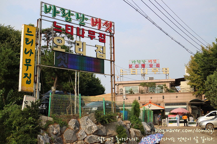  경기 시흥 느티나무집 - 이제야 인생 밑그림을 다 그렸다, 그리고 정왕역 맛집에서 오리주물럭