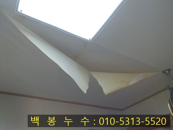 안산 본오동 누수(연립주택 직수 누수)