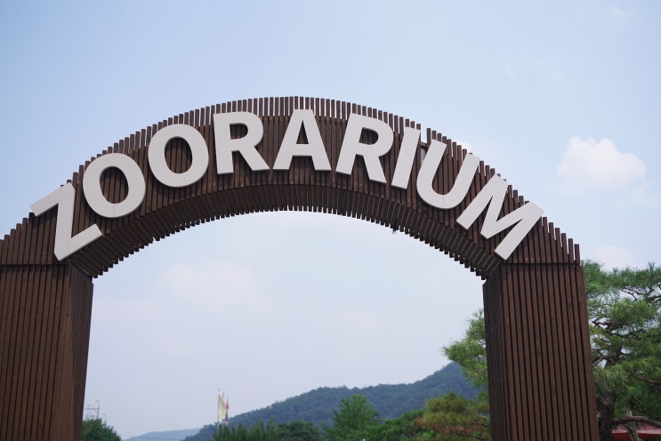  일산 실내동물원 쥬라리움 일산점 물놀이장