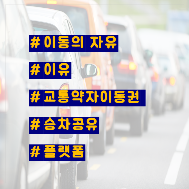  이유 일상 :: 시각장애인 안지영씨의 실제 인터뷰