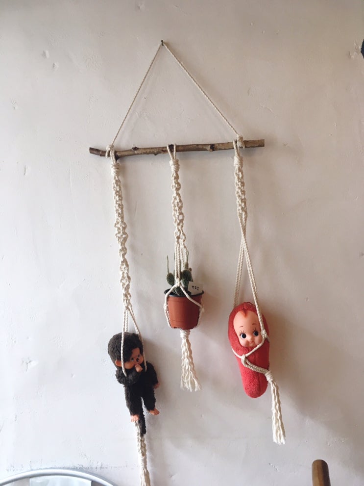  급번개&대전 오늘님표희귀식물원 방문기