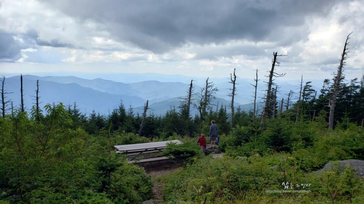  Mt.Mitchell State Park-애팔래치안 산맥의 최고봉, 6684ft(2037m)의 마운틴 미첼에 오르다