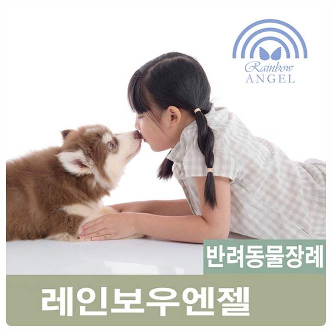  반려동물장례식장의 가장 합리적 선택방법은? 반려동물화장 [레인보우엔젤]