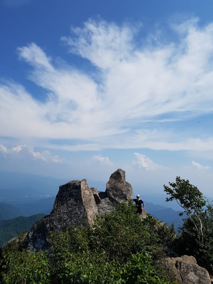  인제 대암산 산행/ 용늪 탐방기