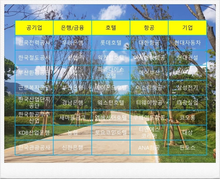  승무원과외 받은 학생이 부산에 못온다ㅠㅠ(이럴수가! 태풍을 조심하자)