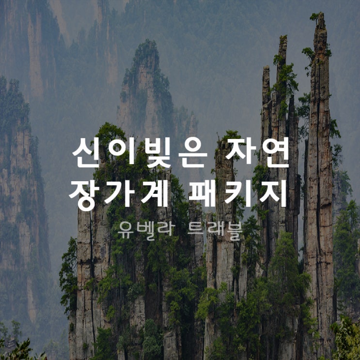 효도관광 대표여행 중국 장가계 3박4일/ 4박5일 8~11월