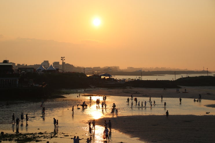  8월 제주도 가볼만한곳 함덕해수욕장, 월정리해변, 제주 일출랜드 미천굴!
