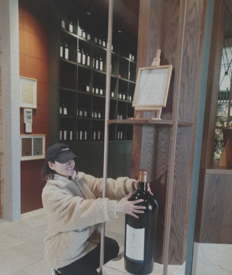  [뉴질랜드 워홀]+146 GM다이어트 최종 몸무게 (총-1.7kg 감량)/일 구하러 다니기 힘들다. /쿡아일랜드 숙소 예약 완료
