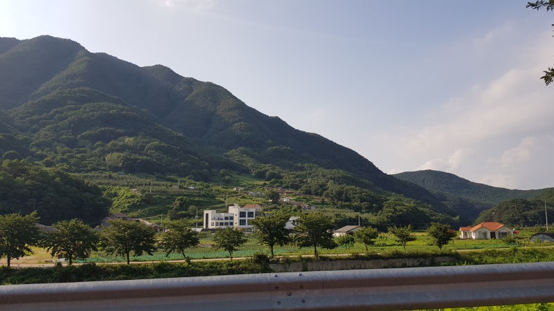 사진 4