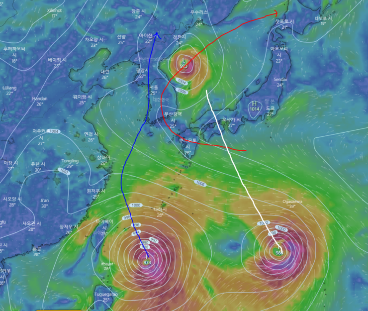  8,9호 태풍 및 95W 열대요란 관련 소식