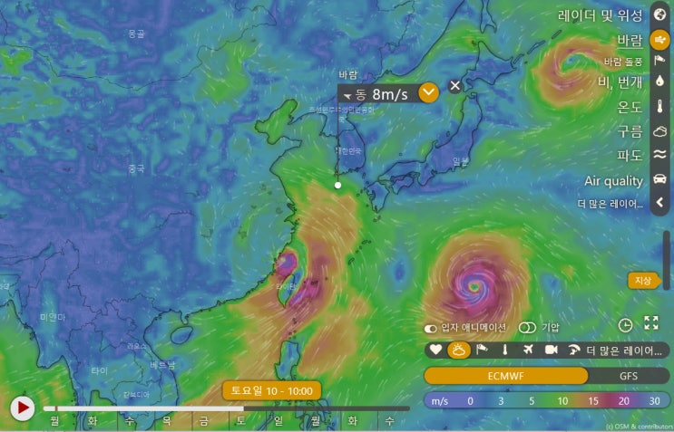  8월 둘째주 제주바다상황
