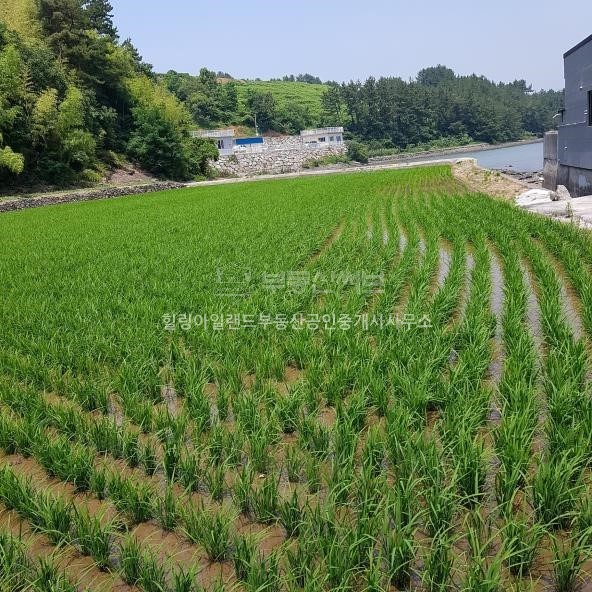  바닷가 토지 분석(경남 남해, 5200만원(융자제외))