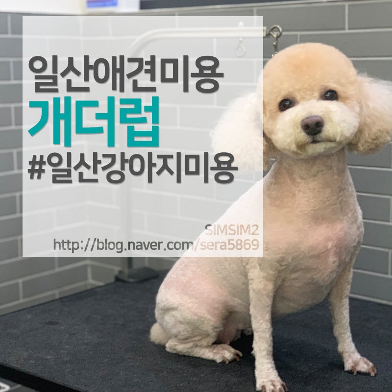 사진 3