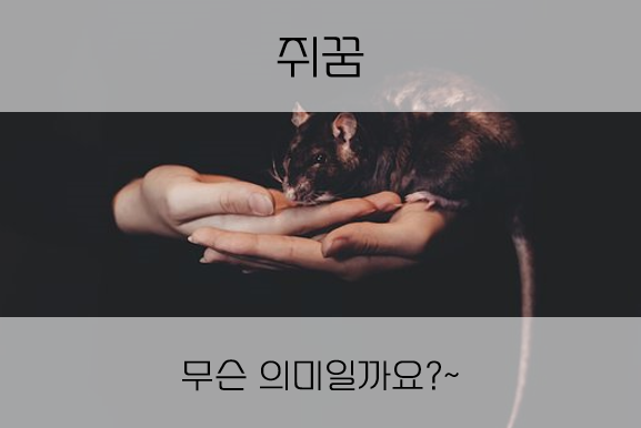  쥐꿈 꾸셨나요