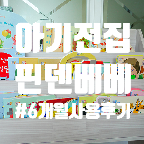  돌아기 전집 핀덴베베,톡톡 6개월 사용 후기