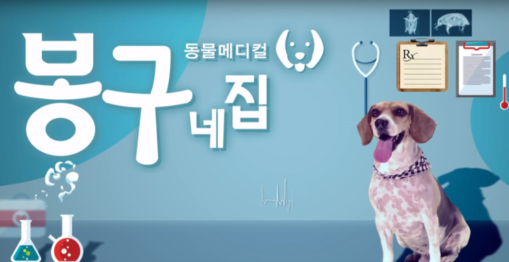  [대구 동물병원] 대구 MBC 봉구네집 8/6일 10시 05분 반려동물 방광결석 편 출연 : 대구 플러스동물의료센터